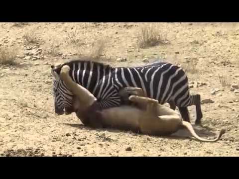 فيديو 10  قصور مسكونة حول العالم